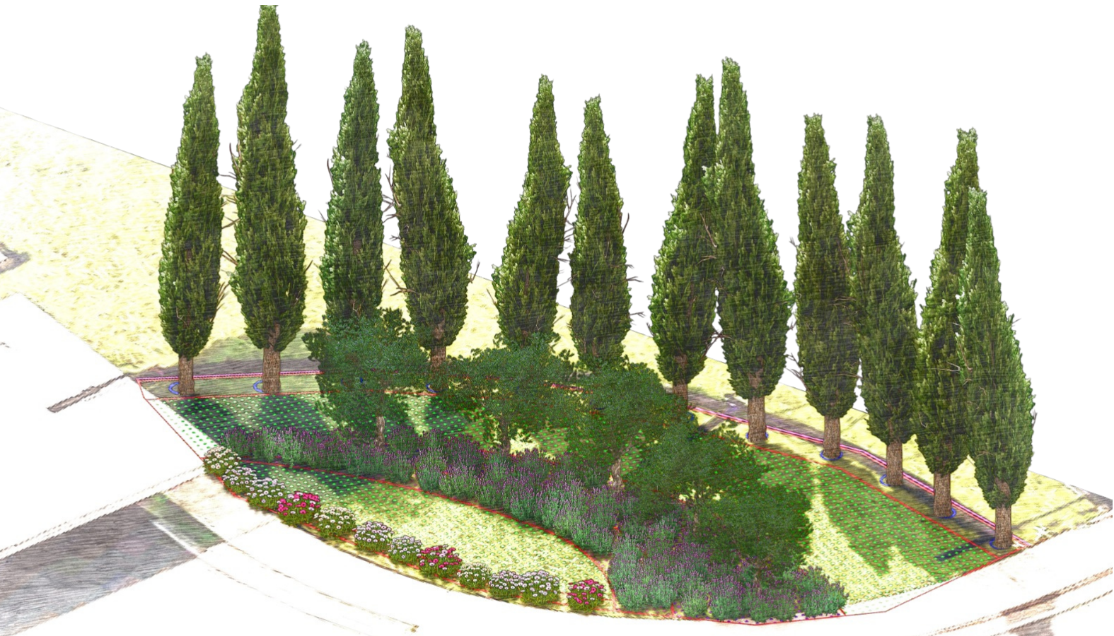 Jardim em transição